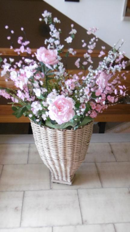 ホテルCasa Per Ferie Paola Di Rosa アルタ・テルメ エクステリア 写真